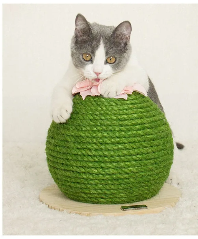 Cat Scratching Board Prickly Pear