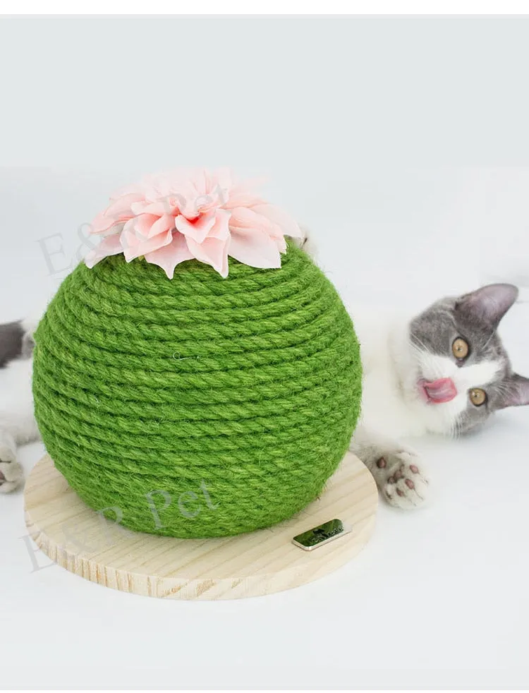 Cat Scratching Board Prickly Pear